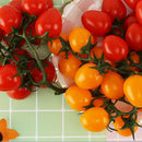Red &Yellow Artificial Cherry Tomatoes Faux Lifelike Simulation Fruit