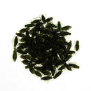 100pcs Outdoor Lightweight Soft Fishing Lures Cricket Insect Baits 0.8g 2cm