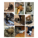 3x Pet Cat Kitty Electric   Toys Cat Training Kicker For Cat Supplies