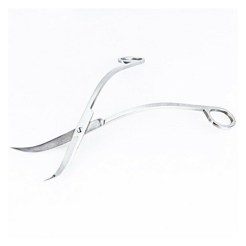 Water purification plant scissors in steel aquarium