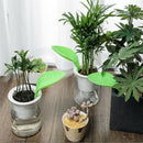 1PC Potted Plant Diversion Watering Device Plant Leaf Watering Device Divers Hn