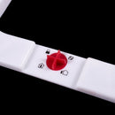 Plastic door White 4 Positions for Cat Dog