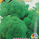 100pcs Ding Green Broccoli Seeds Vegetable Green Broccoli Seeds Nutritious N~