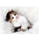 White Adorable Cat 5D Diamond DIY Painting Craft Kit Home Decor