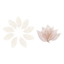 100Pcs Natural Dried Magnolia Skeleton Leaves Bookmarks Decoration DIY HOT