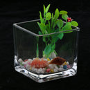 Tabletop Square Aquarium Fish Glass Vase Tank Plant Home Decoration 10x10x10cm
