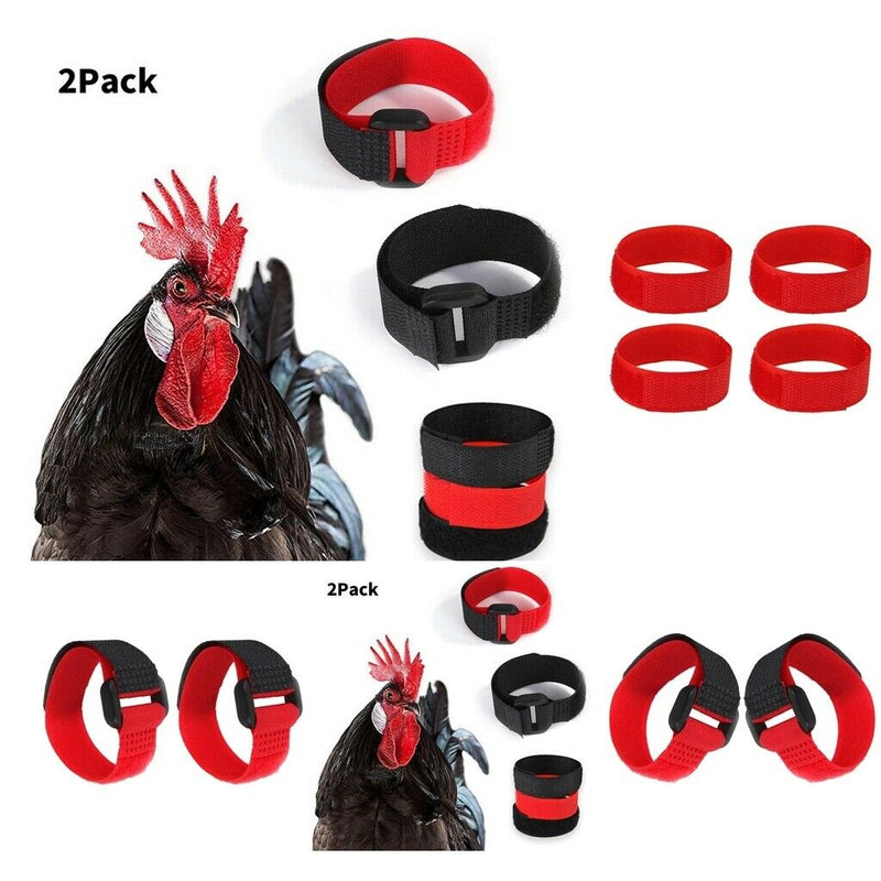 8pcs Rooster Collar Prevent Chicken from Screaming for Chicken Rooster Red