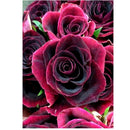 Full Drill Rose DIY 5D Diamond Painting Embroidery Kit For Home Room Decor