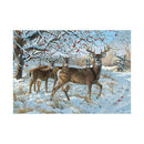 5D Diamond Painting Deer Embroidery DIY Craft Cross Stitch Home Decor