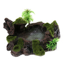 2pcs/set Plant Moss Decor Reptile Feeding Bowl Tortoise Gecko Lizard Water Dish