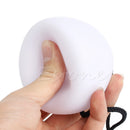 One Pair LED POI Thrown Balls for Professional Belly Dance Level Hand Props