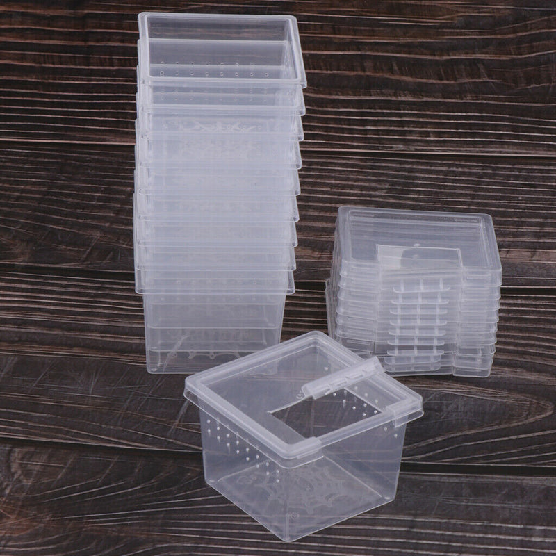 10x Reptile Feeding Box Reptile Insect Turtle Hatching Box For Reptile Turtle