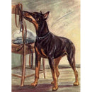 Doberman Diamond Painting Full Drill 5D Diy Rhinestone Embroidery Kit 12X16