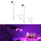 2Pcs E27 Clip on Desk Lamp with Touch Sensor Switch Touch Control AU Plug