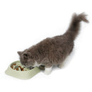 Pet Slow Feed Bowl Portable Dog Foods Bowl Prevent Obesity Feeder (Green) A