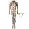 Open Crotch Bodysuit Leopard Sheer Catsuit Womens Double Zipper Long Sleeves