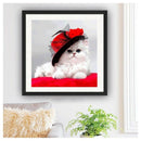 DIY 5D Diamond Painting Embroidery Cat wearing a hat Cross Stitch Tool Set