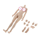 1/6 Scale Super Flexible Female Rude Body 12inch Action Figures Moveable Joints