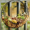2 Pcs Iron Wire Frame Succulent Pot Rack Wedding Garden Home DIY Decoration