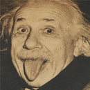 einstein posters wall stickers imagination is more important than knowledge Bs!j