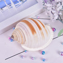 1Pcs Artificial Shell Sea Conch Fish Tank Aquarium Decorations Roll Shellf 3C