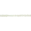 Women White Shell Necklace Collar Choker With Extended Chain for Girls Wome