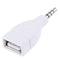Converter Adapter USB 2.0 Female to 3.5mm Male AUX Audio Car Plug Jack wh dfTEUS