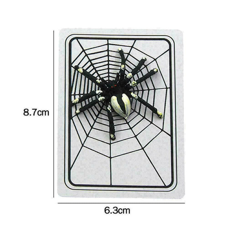 Spider  Close-Up Pocket Street Halloween Tricky X7I5 P8A2