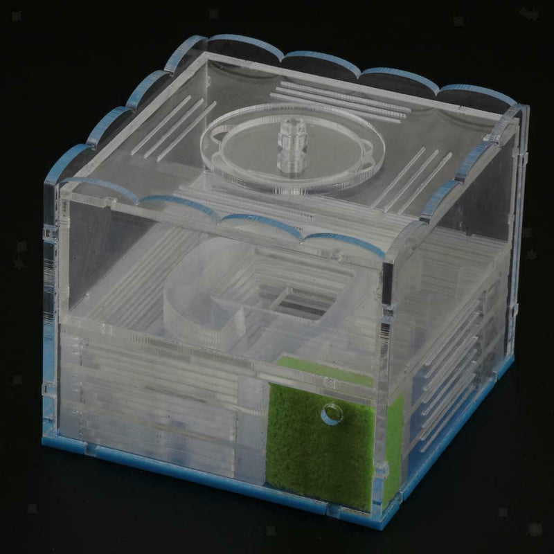 Clear Ant Feeding Nursery Box Ant Farm House Castle Insect Terrarium  L