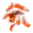50pcs Fishing Party Decoration Dyed Guinea Fowl Feather BX