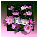 5D DIY Full Drill Diamond Painting Pink Flowers Cross Stitch Embroidery Kit