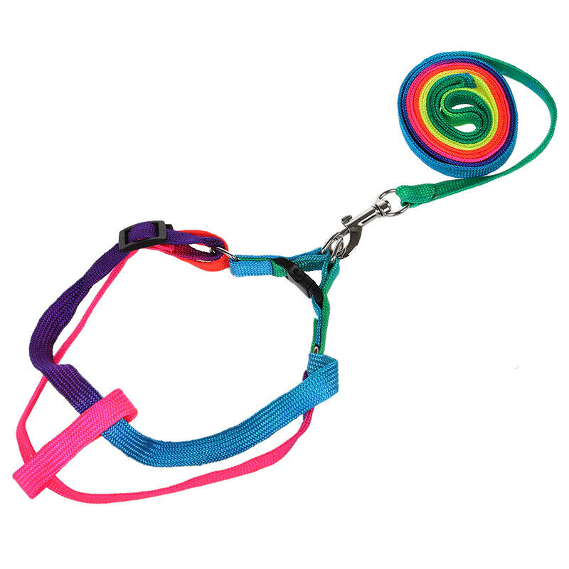 44" Long Rainbow Nylon Small Medium Size Dog Pet Harness Leash