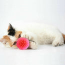 10x Colorful Balls Cat Toys Sm & Bulk Soft Plastic Ball Roll Quiet_Play D2R5