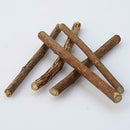 10x Cat Snacks Natural Matatabi Chew Catnip Stick Teeth Cleaning Molar Brus Q1Q9