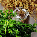 Automatic Watering Bulbs,Pig Shaped Plant Auto Self-Watering Glass Balls