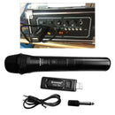 Professional Wireless Microphone w/ USB Receiver VHF Mic System Kit Black