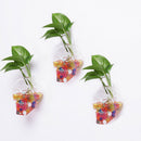 Skeleton Head Hanging Glass Hydroponic Flower Planter Vase Home Garden Decor