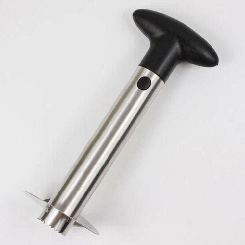 4pcs Stainless Steel Pineapple Fruit Corer Slicer Cutter Peeler Kitchen To DOM