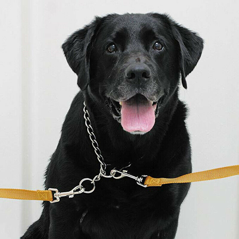 Pet Bathing Tether Straps, Pet Leash Dog Bath Beauty Fixed Rope Bathtub Suc