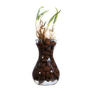 Hydroton clay pebbles growing media expanded clay rocks for hydroponic syst T Cy