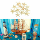 5pcs/lots crafts white bread sea shell starfish, fashion home decorative ha U8F8