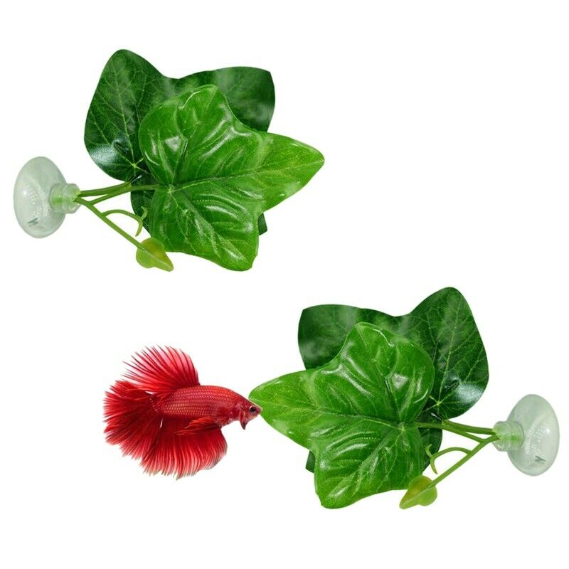 2 Pack Betta Fish Leaf Pad - Improves Betta'S Health By Simulating The NaturE4I5