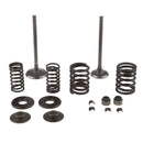 Upgraded High RPM Engine Valve Springs with Stem Seals 250CC for Scooter