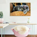 DIY Animal 5D Full Square Drill Diamond Painting Cross Stitch Gift (NF0155)