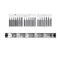 3pcs Wowstick X1 X2 X3 Multifunction 1/8inch S2 Steel Screwdriver Screw Bits