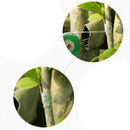 Plant Pruning Strecth Graft Budding Tape Floristry Pruner Fruit Tree GraftingME
