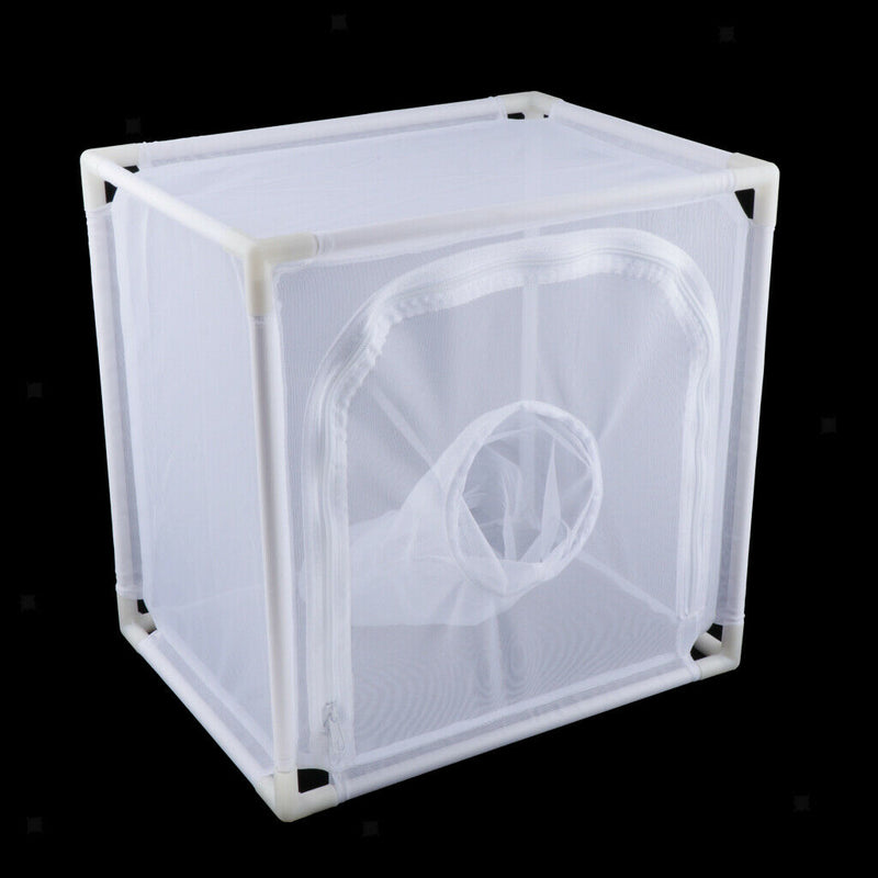 Insect Butterfly Net Terrarium Cage for Raising Insects Butterflies Bugs