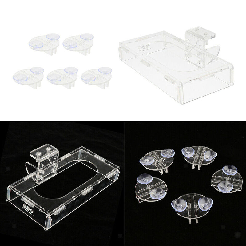 Terrarium Artificial Succulent Plant Reptile Vivarium Landscaping Ornamnets