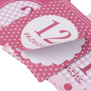 12pcs Baby 1-12 Month Monthly Milestone Stickers Baby Birthday Baby Shower