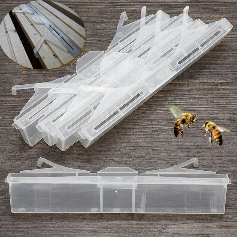 6pcs/set Small Beetle Traps  Beekeeping Tools Friendly Safe 17x3cm
